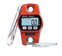 Bilancia a sospensione, Bilancia da 300 kg/600 libbre Mini gru digitale LCD bilancia sospesa for pesatura di pesca e caccia in fattoria