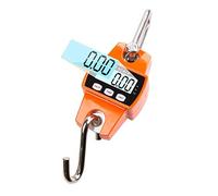 Bilancia a sospensione, Bilancia elettronica for gru digitale 300 kg/50 g LCD Mini bilancia sospesa for carichi pesanti in acciaio inossidabile