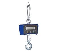 Bilancia a sospensione, Bilancia sospesa Bilancia digitale for gru Pesante industriale Misura del peso sospeso 500 KG 1100LBS Strumenti di pesatura elettronica(Blue,500kg)