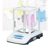 Bilancia analitica, 300 gx 0,1 mg 0,01 g Bilancia da laboratorio ad alta