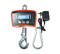 BILANCIA DA GRU 300 KG CON GANCIO ACCIAIO INOX BILANCIA INDUSTRIALE