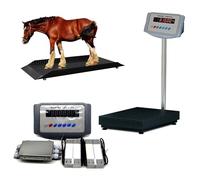 Bilancia da pavimento ad alta precisione con indicatore di peso del carico per bestiame, piattaforma di pesatura per animali ideale da 5000 kg, per bovini, pecore, suini e capre(1t)