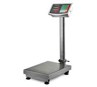 Bilancia Digitale Industriale 300 kg Con Piattaforma 40 X 50 Cm Display LCD Retroilluminato ad Asta Pieghevole In Acciaio Inox Batteria Ricaricabile 20h e Spegnimento Automatico Argento