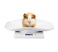 Bilancia Digitale per Animali Domestici da 10 Kg / 1g con Supporto, Bilancia per Animali Domestici per Pappagalli, Strumento di Misura per altri Piccoli Animali con Display LCD, 293x183x63mm