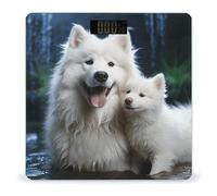 Bilancia digitale per cani bianchi, bilancia digitale ad alta capacità, precisa bilancia digitale e facile da leggere sul display LCD retroilluminato
