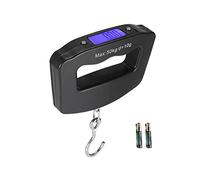 Bilancia digitale per gru, Mini Bilancia Display Digitale Crance 50 kg Portatile Industriale Elettronica Heavy Duty Gru a Gancio con Cambio Unità Tara