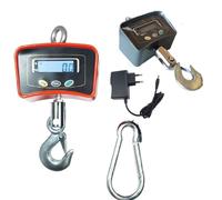 Bilancia digitale professionale da gru con gancio acciaio 500kg industriale