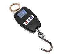 TOOLS - Bilancia Dinamometro Digitale 200 - SPEDIZIONE GRATUITA