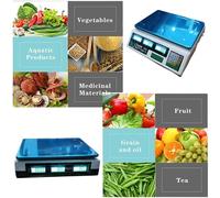 BILANCIA ELETTRONICA DIGITALE ACCIAIO INOX PROFESSIONALE MAX 40 KG / 2GR 285142