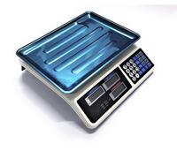 Bilancia Elettronica Digitale Professionale Min. 5 Gr Max. 40 Kg Divisione 5 Gr