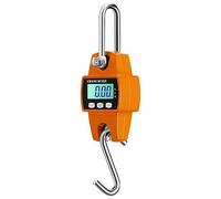 Bilancia Elettronica per Gru, a Gancio Digitale LCD da 300 kg, Dinamometro Elevata Precisione, sospesa industriale a Sospensione, portatile mini