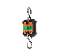Bilancia For Gru 100kg/250KG Bilancia For Ganci Sospesi For Carichi Pesanti Bilancia Digitale Portatile For Stadera In Acciaio Inossidabile For Peso Agricolo Ampiamente Applicabile(C07)