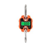 Bilancia for gru 100kg/250kg for gancio sospeso for impieghi gravosi portatile digitale in acciaio inossidabile agricola for stadera(C08)