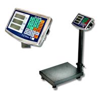 Bilancia Industriale 500Kg Piattaforma Display Digitale Pieghevole Portatile