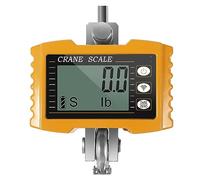 Bilancia per gru, Bilancia for gru digitale Pesante 1000 kg Bilancia for gru elettronica industriale ad alta precisione utilizzata come strumento di pesatura intelligente,Funzioni multiple