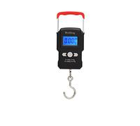 Bilancia per Gru Digitale Bilancia sospesa da 50/300 kg Bilancia digitale elettronica Bilancia LCD Bilance a sospensione for carichi pesanti industriali ad alta precisione(50kg X 5g)