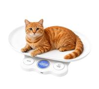 Bilancia per piccoli animali, bilancia per gatti digitale da 15kg, bilancia digitale per neonati, mini bilancia per animali domestici, bilancia digitale LCD per piccoli animali per gattini, cuccioli