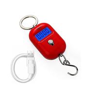 Bilancia Portatile da Appendere 25 kg/5 g, Mini LCD Digitale for la Pesca, i Bagagli, Viaggi, Il Portachiavi elettronico(Red-Rechargeable)