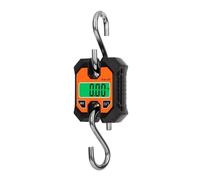 Bilancia Portatile Micro Gru Da 250 Kg 0.1-100 Kg LCD Bilancia A Gancio Staccabile Industriale Bilancia For Pesi Appesi For Carichi Pesanti Agricoli Ampiamente Applicabile(C07)