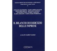 Il bilancio d'esercizio delle imprese