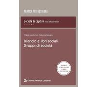 Bilancio e libri sociali. Gruppi di società