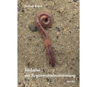 Bildatlas der Regenwurmbestimmung: Mit einem Kompendium der Regenwurmfauna des Nordostdeutschen Tieflands