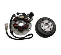 BildeeMait per Magneto Stator Coil per Lifan 140 140cc 1P55FMJ motore, kit volano avviamento ad alta tensione