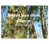Bilder aus dem Chaco in Paraguay (Wandkalender 2026 DIN A3 quer), CALVENDO Monatskalender: Vor mehr als 80 Jahren besiedelten die Mennoniten dieses ... die größten Viehfarmen Paraguays auf