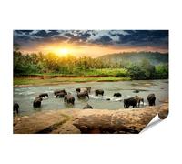 bilderfelix Poster Una mandria di elefanti fa il bagno in un fiume nella giungla, Sri Lanka - Poster 130x90 cm