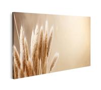 bilderfelix Quadro su tela Elegante erba di pampa beige, leggera come una piuma, con tanto spazio per le copie - Tela 80x40 cm