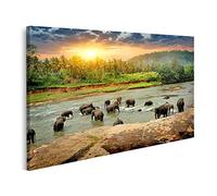 bilderfelix Quadro su tela Una mandria di elefanti fa il bagno in un fiume nella giungla, Sri Lanka - Tela 80x40 cm