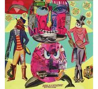 Bill Callahan Woke On a Whaleheart (Vinyl LP) 12" Album
