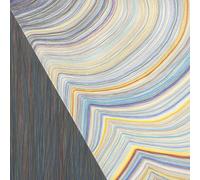 Bill Frisell, Kit Downes & Andrew Cyrille Breaking the Shell (Vinyl LP)