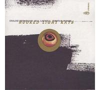 Bill Laswell & Tibetan Monks & Eraldo Bernocchi Hooked Light Rays (CD) Album