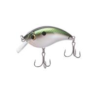 Bill Lewis ATV Squarebill Crankbait - Esca realistica per acqua dolce e salata 1,5 con gancio Mustad Triple Grip, Tennessee Shad