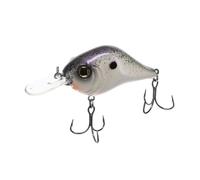 Bill Lewis Pesca Mid-Range 1,8 m / 1/2 oz. / Viola NURPLE
