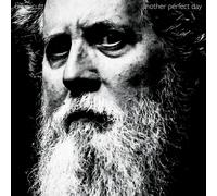 Bill Orcutt Another Perfect Day (Vinyl LP) 12" Album