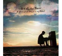 Bill Ryder-Jones A Bad Wind Blows in My Heart (Vinyl LP) 12" Album