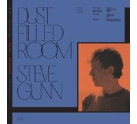 Bill & Steve Gunn Fay Dust Filled Room (Vinyl LP) 7" Single