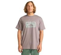 BILLABONG T-Shirt Manica Corta Arch Frame SS Grigio M