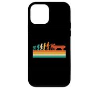 Billiard Evolution - Giocatore di biliardo con 8 palline Custodia per iPhone 12 mini