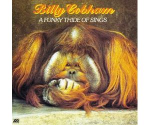 Billy Cobham - Funky Thide of Sings