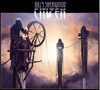 Billy Sherwood Citizen (CD)