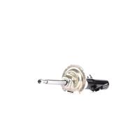 Ammortizzatore BILSTEIN - B4 Gas BILSTEIN 22-119193 destro