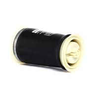 STARK SKASS-1850005 Molla pneumatica per BMW X5 (E70) X6 (E71, E72) Posteriore