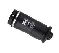 RIDEX 4119A0014 Molla pneumatica adatto per MERCEDES-BENZ M-Klasse (W164)