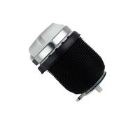 BILSTEIN 40-281216 - Molla ad aria, telaio posteriore