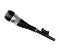 Ammortizzatore pneumatico Assale posteriore Sx Occhiello inferiore 44-239985