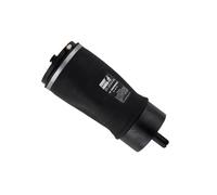 Bilstein Ammortizzatore Ad Aria Posteriore Per Land Rover Discovery Range