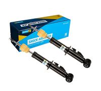BILSTEIN 19-119205 Ammortizzatore